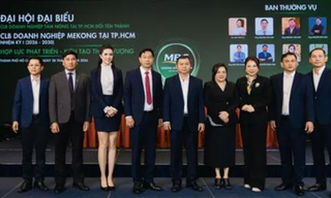 Hoa hậu sinh năm 1990 được bổ nhiệm làm Phó Chủ tịch CLB Doanh nghiệp Mekong