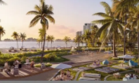 The Spotlight Collection - vị thế 'tâm điểm' khơi mở đầu tư bền vững