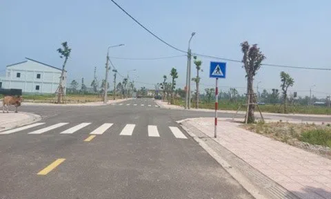 Hà Tĩnh: Đất nông thôn vùng quê “nóng sốt”, nay vắng bóng bất ngờ