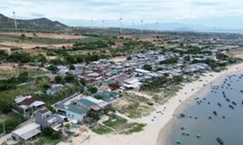 Nhiều vướng mắc tại Dự án điện hạt nhân Ninh Thuận