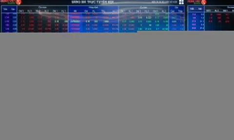 Nhà môi giới chứng khoán nào dẫn đầu thị phần HoSE?