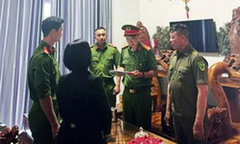 1 chủ hộ kinh doanh bị khởi tố vì buôn bán gỗ có doanh thu 143 tỷ đồng nhưng chỉ nộp thuế 900k