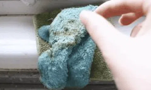 Nhà trông rất sạch nhưng 6 thứ này đang sinh vi khuẩn 24/7 mà bạn không hề biết