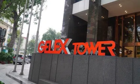 GELEX chia cổ tức và cổ phiếu thưởng tổng 45%, tăng vốn lên hơn 13.000 tỷ đồng