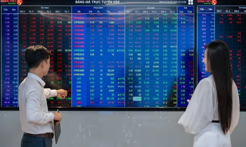 Nhà môi giới chứng khoán nào dẫn đầu thị phần HoSE?