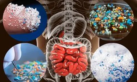 Vật này trong nhà là "ổ VI NHỰA", càng dùng càng rước bệnh!