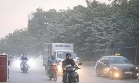 480.000 EURO triển khai Dự án 'Phố thở - Hà Nội thở'