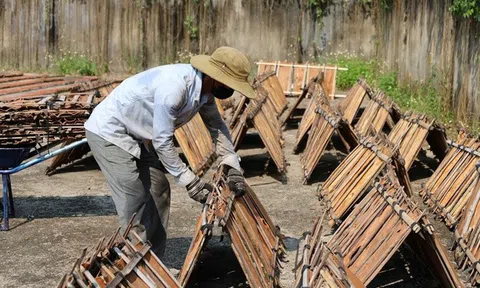 Đón “lộc rừng”, người dân miền núi Quảng Ngãi rộn ràng mùa thu hoạch