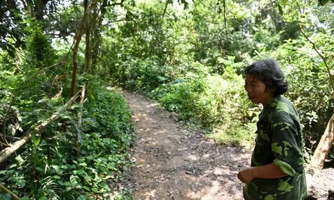 Hai "dị nhân" sống giữa "ốc đảo" biệt lập ở Phú Thọ, không tiêu đến tiền, vẫn khỏe mạnh