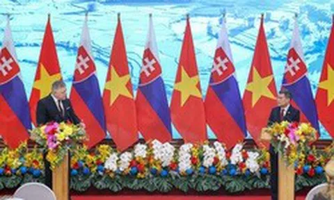 Hai Thủ tướng nhất trí nâng cấp quan hệ Việt Nam – Slovakia lên Đối tác chiến lược