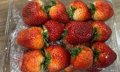 Cặp vợ chồng ngoài 20 tuổi cùng mắc ung thư gan, "thủ phạm" là loại trái cây quen thuộc nhưng độc hơn rắn hổ mang