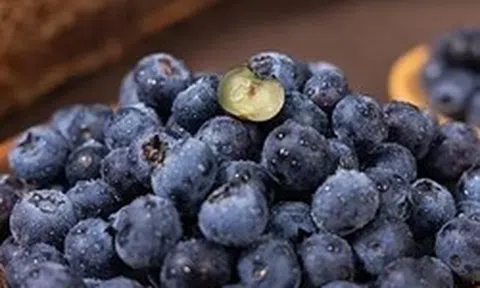 Người phụ nữ 61 tuổi kiên trì ăn việt quất mỗi sáng suốt 4 năm, kết quả khám khiến bác sĩ gật gù: “Cách này rất ổn”