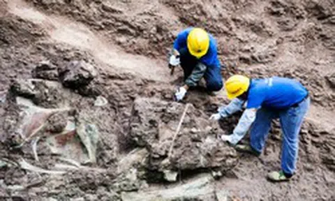 Một khu vực ở Trung Quốc phát hiện hơn 700 sinh vật có thể viết lại lịch sử sự sống Trái Đất: Chuyện gì đang xảy ra?