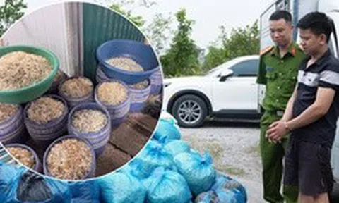 Cận cảnh xưởng sản xuất giá đỗ dùng hormone tăng trưởng ở Quảng Ninh: Mỗi ngày bán 700 kg, thu giữ 4000 kg chứa chất cấm