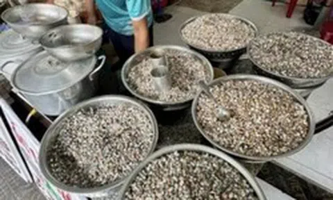 Giá vàng đu đỉnh cũng không bằng lon ốc lể miền Trung