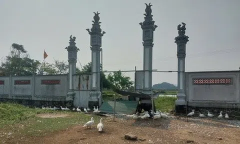 Dự án đền thờ tổ nghề ca trù thành nơi... chăn vịt, chính quyền nói gì?