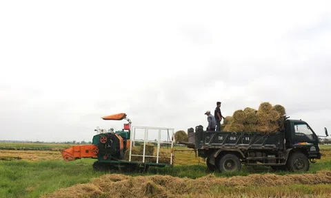 Cách giúp nông dân không phải vất vả xử lý rơm rạ mà vẫn có thu nhập