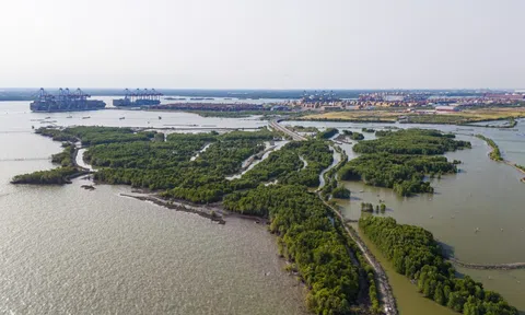 Vị trí liên danh Geleximco sắp xây siêu cảng Cái Mép Hạ gần 2 tỷ USD