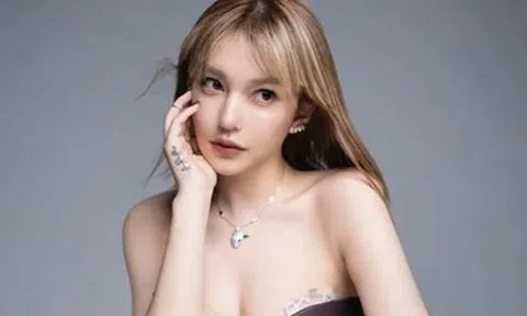 Người mẫu Lý Vũ Đồng bị cảnh sát bắt tạm giam