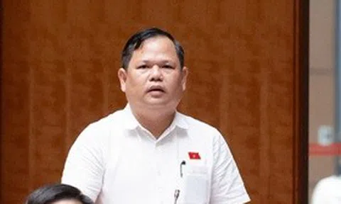 ĐBQH đề xuất ngưỡng chịu thuế với hộ kinh doanh lên 3 tỷ đồng/năm