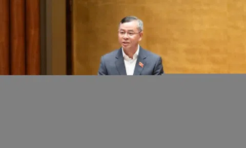 Đề xuất hộ kinh doanh thu trên 3 tỷ/năm mới phải nộp thuế