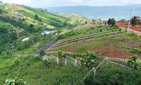 Đất nền phân lô 'chôn vốn' 4 năm, rao bán cắt lỗ không ai mua