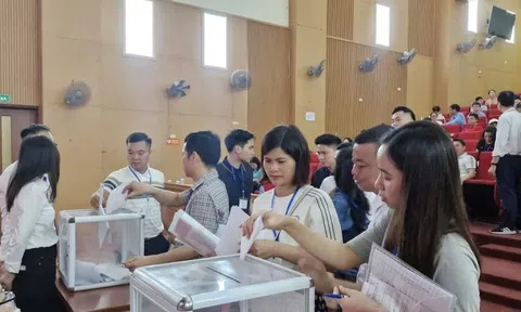 Hà Nội: 17 lô đất ở xã Quốc Oai trúng đấu giá 84-125 triệu/m2