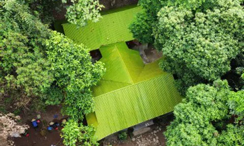 Ngôi chùa độc đáo làm bằng trúc, có cây hoa trứng gà ai cũng muốn ngắm