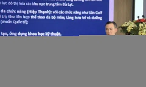 Diễn viên Chi Bảo đầu quân cho Novaland