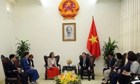 Việt Nam tăng cường hợp tác với UNDP, WHO trong cải thiện chất lượng không khí