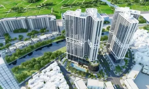 Giá chung cư Hà Nội tăng nhanh hơn nhà đất