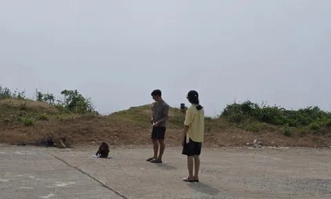 Bị khỉ hoang tấn công, 5 du khách nhập viện