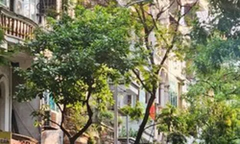 Tin vui cho thứ 2 mệt mỏi nhất: Chỉ cần vượt qua 117 ngày nữa thôi là có 5 ngày nghỉ liên tiếp!