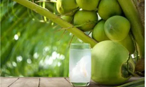 3 lời khuyên cho các gia đình hay uống nước dừa