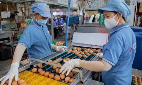'Nghẹt thở' vay vốn ngân hàng
