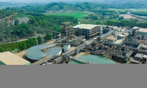 MSR hướng đến tăng trưởng dài hạn sau giai đoạn phục hồi