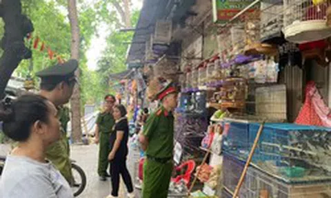 Hà Nội: Công an kiểm tra 3 hộ kinh doanh, thu giữ rất nhiều cá thể chim không rõ nguồn gốc