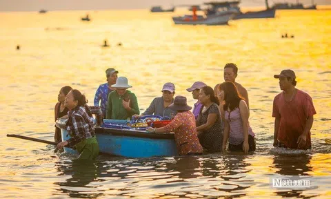 Ngư dân Đắk Lắk thu hàng triệu đồng sau đêm đánh cá cơm, phấn khởi vươn khơi bám biển