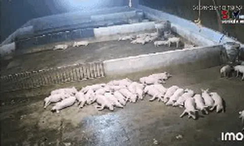 Động đất mạnh 4 độ ở Sơn La khiến nhà cửa rung lắc, người dân chạy ra khỏi nhà sau tiếng động lớn
