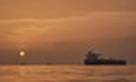 Hơn 2.000 thuyền viên đối mặt rủi ro khi hàng trăm tàu Hong Kong mắc kẹt