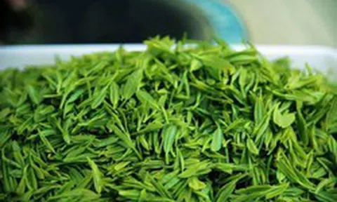 Loại lá chống rụng tóc, kích thích mọc tóc cực hay, dùng hằng ngày phòng cả ung thư: Bán đầy chợ Việt