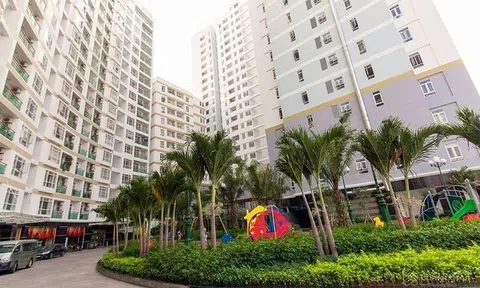 TP.HCM xem xét cấp sổ cho người mua ô đậu ôtô ở chung cư