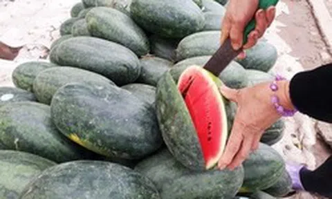 Lời khuyên khi mua dưa hấu