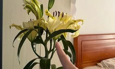Kiểm tra phòng ngủ của bạn: Nếu vẫn giữ 6 món đồ này, giấc ngủ có thể đang “xuống cấp” từng ngày mà bạn không nhận ra