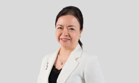 Bà Nguyễn Thị Mai Thanh rời ghế Chủ tịch REE, con trai lên làm Tổng giám đốc