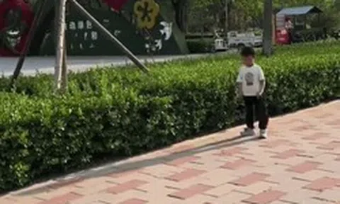 Con trai tiểu học 1 tháng "làm mất" cặp sách 9 lần, mẹ giả vờ tan làm sớm rồi lặng lẽ bám theo và cái kết dở khóc dở cười