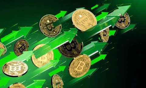 Bitcoin đã tạo đáy?