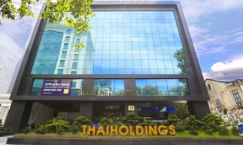 'Hiện tượng' Thaiholdings trở lại