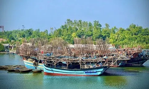 Tàu đầy ắp hải sản nhưng ngư dân Quảng Ngãi vẫn phải "gửi nhờ" cảng ngoài tỉnh