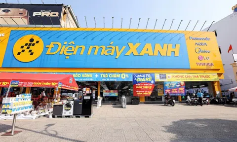 Điện Máy Xanh chào bán hơn 179,5 triệu cổ phiếu, định giá hấp dẫn